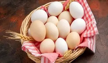 چطور از تخم مرغ محافظت کنیم تا به سالمونلا آلوده نشود؟