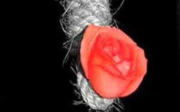 نجات محکوم به قصاص با رضایت اولیای دم از چوبه دار