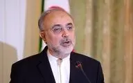  صالحی: وزیر خارجه در حاشیه مجمع عمومی سازمان ملل درمورد برگزاری نشست وزیران خارجه ایران و 1+5 اقدام خواهد کرد