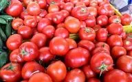 
جدیدترین قیمت گوجه‌فرنگی اعلام شد
