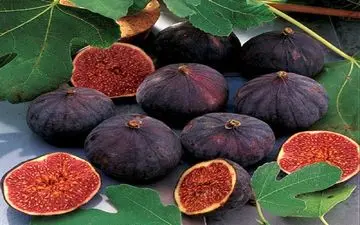  میوه‌ای که همچون داروخانه‌ای طبیعی عمل می‌کند + اینفوگرافی