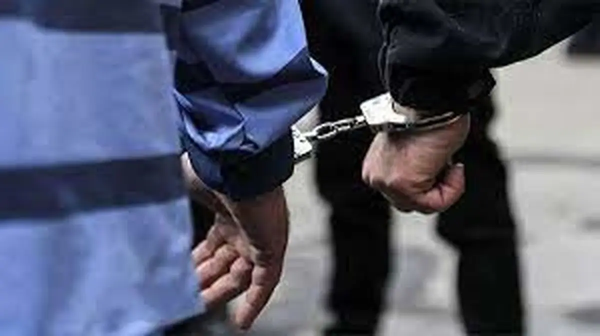 عاملان اخلال در نظم عمومی در هرمزگان دستگیر شدند 