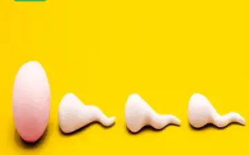  برای بارداری چقدر اسپرم لازم است؟

