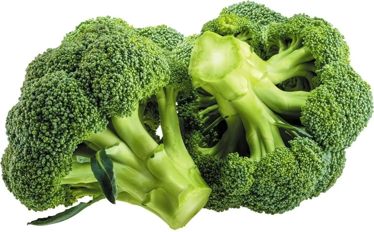 کلم بروکلی؛ از سرطان تا سلامت قلب، فواید شگفت‌انگیز این سبزی را بشناسید