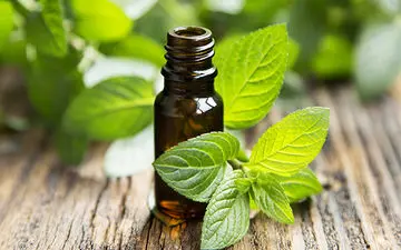 فواید باورنکردنی خوردن هر روز نعناع برای بدن