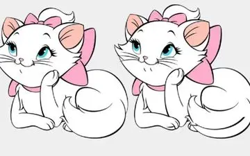 در 10 ثانیه تفاوتهای دو گربه را پیدا کنی میدونم خیلی تیزبین هستی!