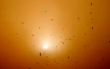 وضعیت  بحرانی آب وهوا در ایلام!