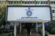 خام‌فروشی در صادرات شرکت‌های کوچک ممنوع شد