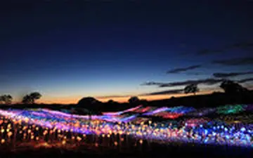  نمایش خیره‌کننده تپه‌های مواج و نورانی در کالیفرنیا