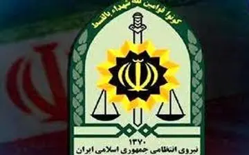 دختربچه 10 ساله در پیاده روی جشن عید غدیر ناپدید شد / پلیس بیرجند وارد عمل شد