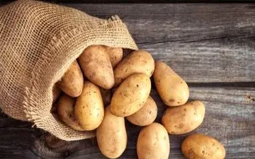 اشتباه می‌کردید/ سیب‌زمینی را اینگونه بخورید تا لاغر شوید