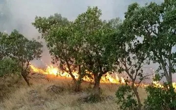 پایان آتش سوزی منطقه حفاظت شده بوزین و مرخیل با تقدیم یک شهید