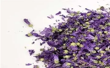 از خواص شگفت‌انگیز پنیرک خبر دارید؟

