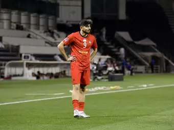 photo_2026-02-10_21-46-30