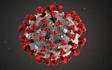 نایب رئیس کمیسیون بهداشت مجلس: استمرار رعایت پروتکل‌های بهداشتی در مناطق مختلف کشور؛ کرونا کنترل‌شدنی است