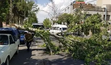 هشدار وزش بادهای شدید در ۱۱ استان