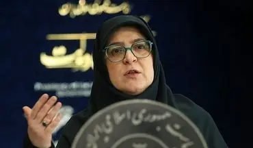 پاسخ مهاجرانی به اتهام‌زنی‌ها درباره نوسانات قیمت دلار