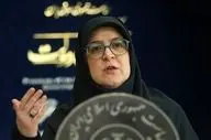 پاسخ مهاجرانی به اتهام‌زنی‌ها درباره نوسانات قیمت دلار