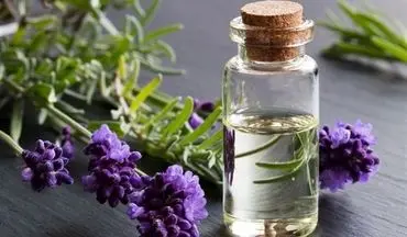 منع مصرف داروهای گیاهی در زنان باردار