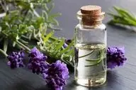 منع مصرف داروهای گیاهی در زنان باردار