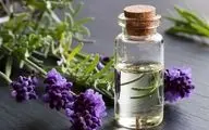 منع مصرف داروهای گیاهی در زنان باردار