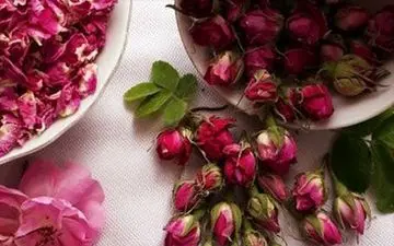 تاثیرات شگفت‌انگیز گل سرخ برای زیبایی