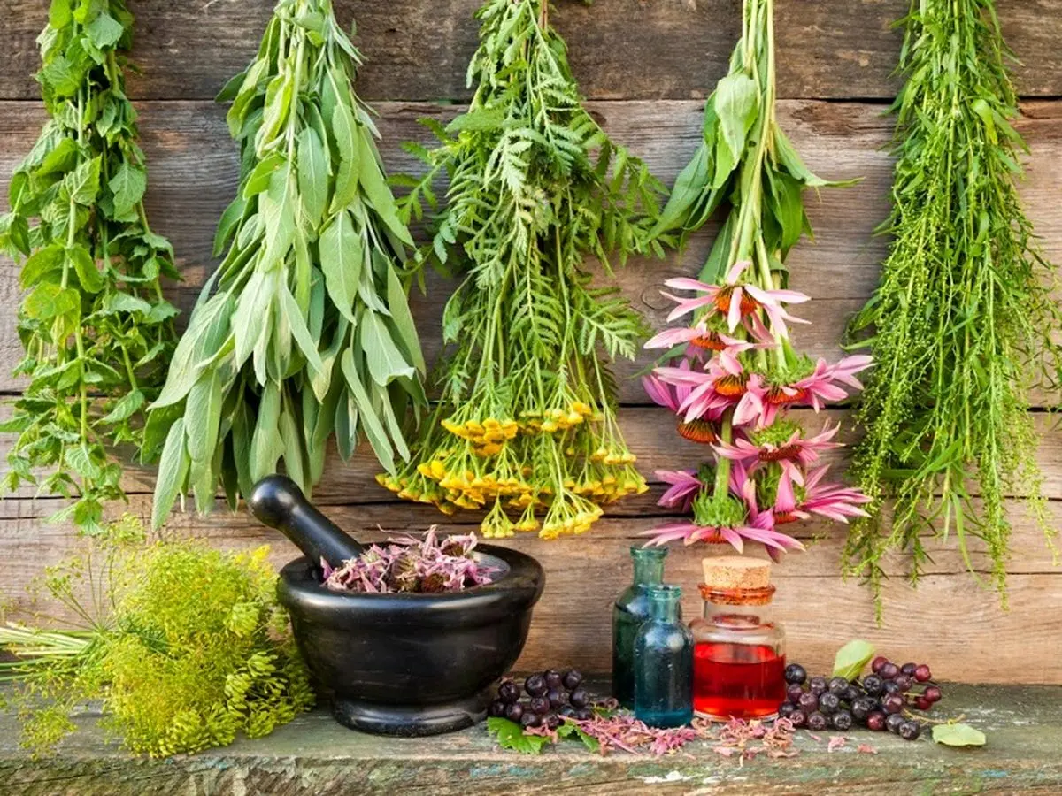 آرامبخش‌های گیاهی برای طبع‌های مختلف