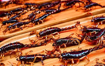 راز بقا در رستوران‌های ویتنام!