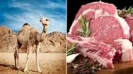 خواص شگفت انگیز گوشت شتر 