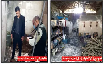 گم‌شدن مرموز زن جوان در مشهد: پرده‌برداری از جنایت بی‌رحمانه توسط همسر موقت