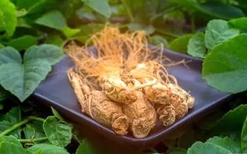 با این راه حل طبیعی همیشه فول تمرکز باشید