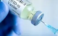 مجوز مطالعه بالینی نخستین واکسن ایرانی امیکرون صادر شد