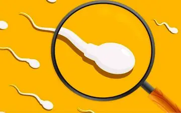 این پسران قدرت باروری ندارند