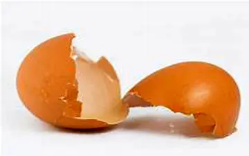 با خواص پوست تخم مرغ به داد مو و دندانهایتان برسید!