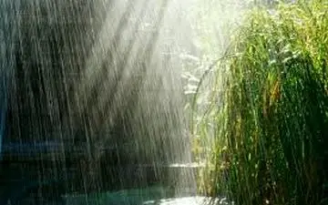 بارش باران و رگبار در برخی مناطق کشور