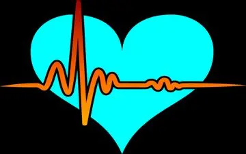 مرگ روزانه 300 ایرانی به دلیل بیماری های قلبی /برنامه جهانی برای کاهش بیماری های قلبی و عروقی