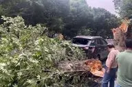 هشدار هواشناسی نسبت به ورود طوفان تندری به تهران