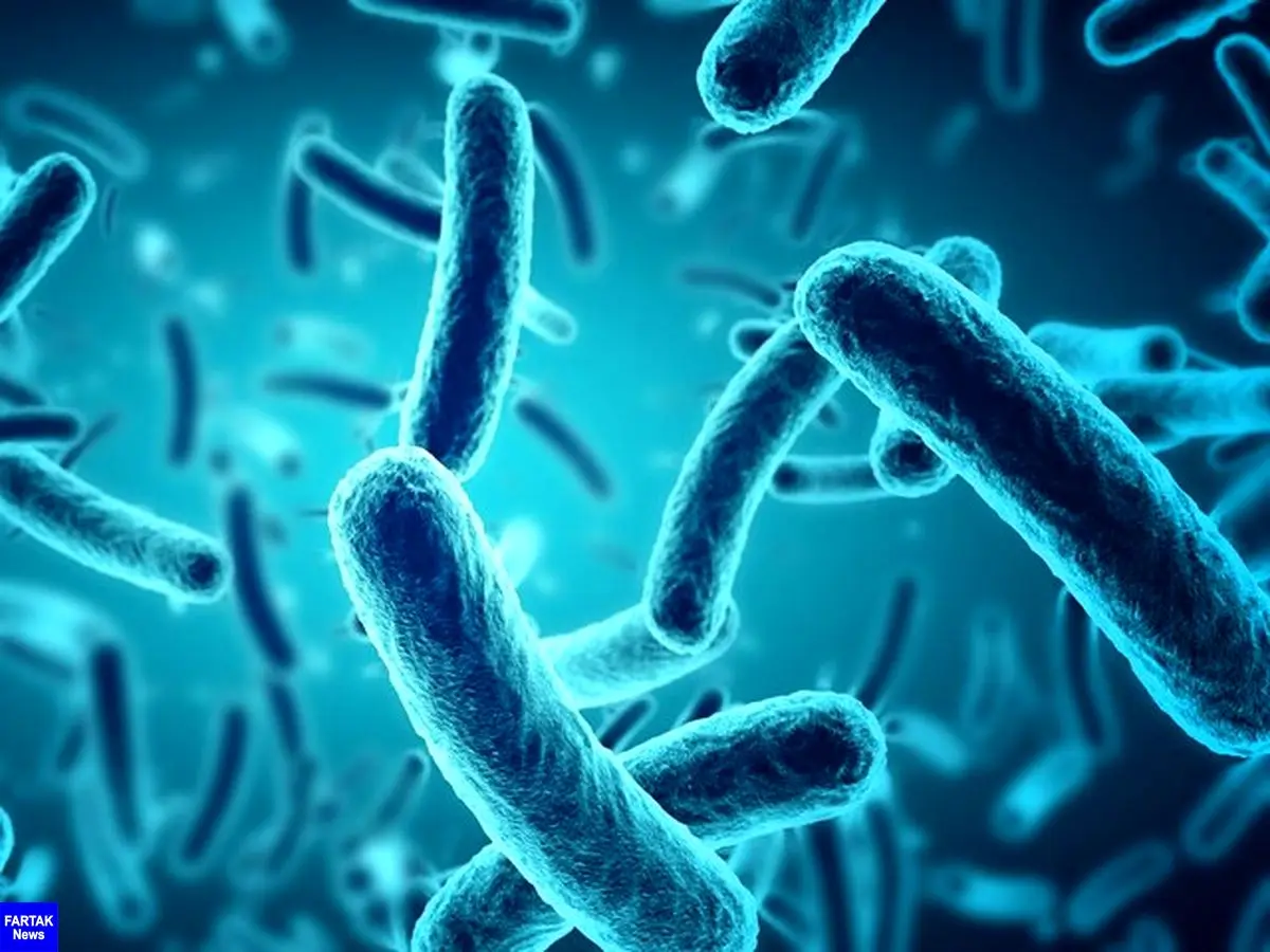 نابودی باکتری‌های مقاوم در برابر دارو با ویروس‌های مهندسی‌شده