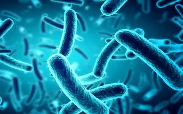 نابودی باکتری‌های مقاوم در برابر دارو با ویروس‌های مهندسی‌شده