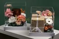 باکس پلکسی چیست و چه کاربردهایی دارد؟ راهنمای جامع انتخاب و خرید