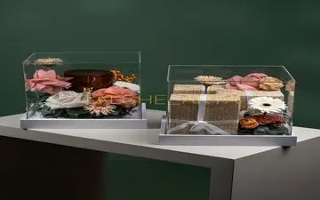 باکس پلکسی چیست و چه کاربردهایی دارد؟ راهنمای جامع انتخاب و خرید