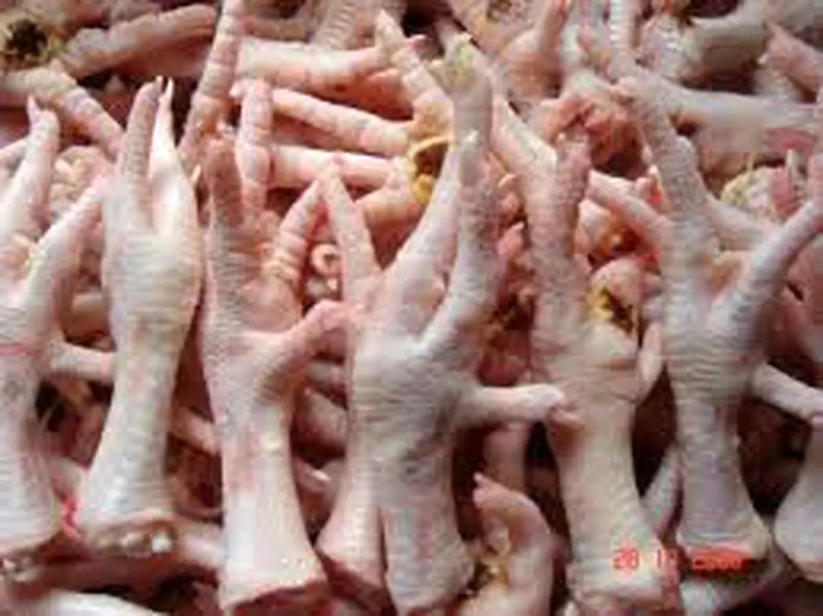 صادرات پای مرغ از لرستان به ویتنام