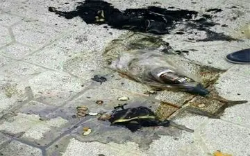 اسیدپاشی شبانه روی 2 برادر در جنوب تهران + جزئیات 