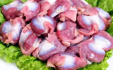 ویتامین های سنگدان مرغ را بشناسید