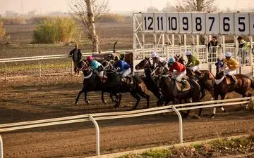 
با شرکت ۵۵ راس اسب؛
هفته پنجم کورس اسبدوانی زمستانه گنبد برگزار شد
