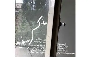 خواستگاری عجیب از خانم بازیگر ایرانی در حضور مردم + عکس