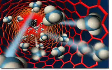 میزان کلسترول خونتان چند است؟ / عوامل خطر چربی خون کدامند؟