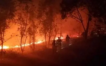 کشته شدن ۱۹ نفر در آتش سوزی گسترده چین