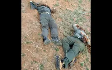 پوکه فشنگی که قاتل محیط‌بانان را لو داد + عکس