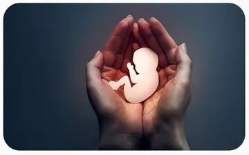 سقط جنین و از دست دادن بارداری چیست؟